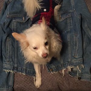 Denim Jacket w/ brass buttons and frayed edges